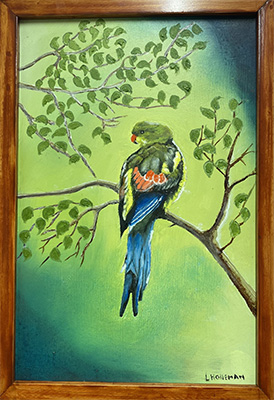 Honey Eater